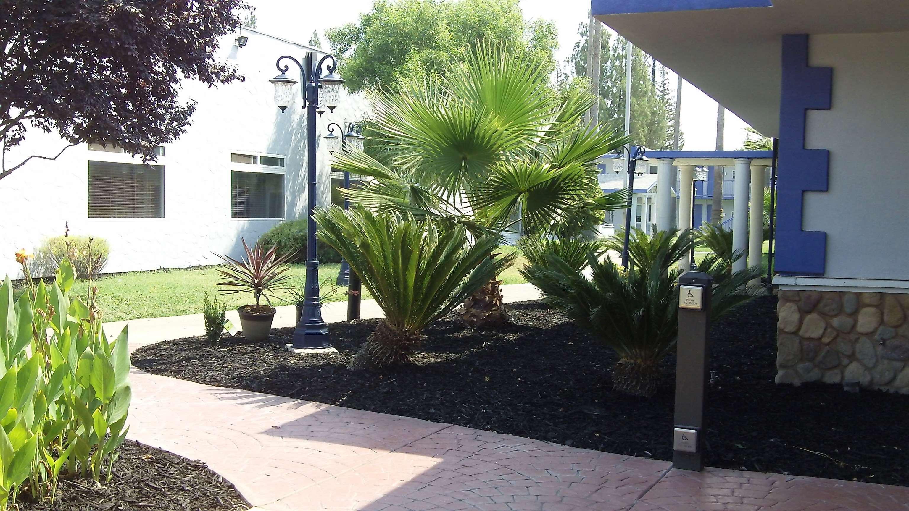 Surestay Plus Hotel By Best Western Sacramento Cal Expo Ngoại thất bức ảnh
